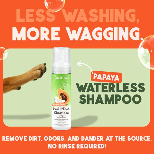 Tropiclean Papaya & Coconut Waterless Shampoo for Dogs & Cats